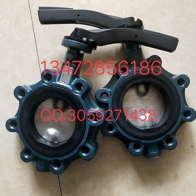 德国依博罗Z014-A支耳式蝶阀DN40-DN500规格齐全