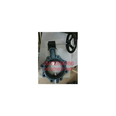 保证原装正&nbsp;品德国EBRO依博罗涡轮蝶阀 Z014-A规格齐全