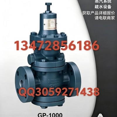 阿姆斯壮GP-1000内导活塞式蒸汽减压阀