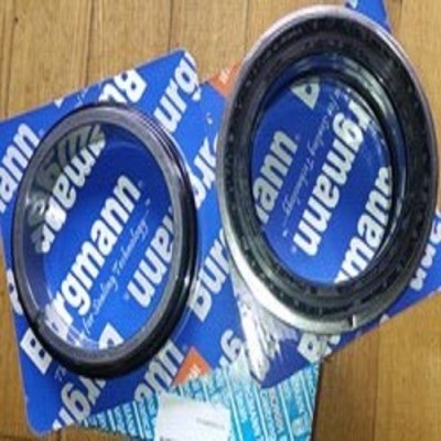 burgmann德国机械密封