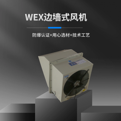 BWEXD防爆边墙式轴流风机
