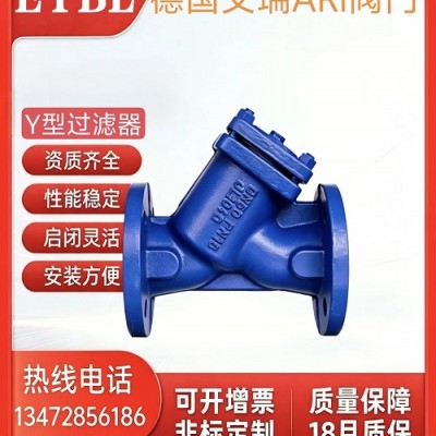 原装正&nbsp;品德国艾瑞ARI法兰过滤器Y型