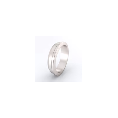 世伟洛克PTFE 后卡套T-504-1